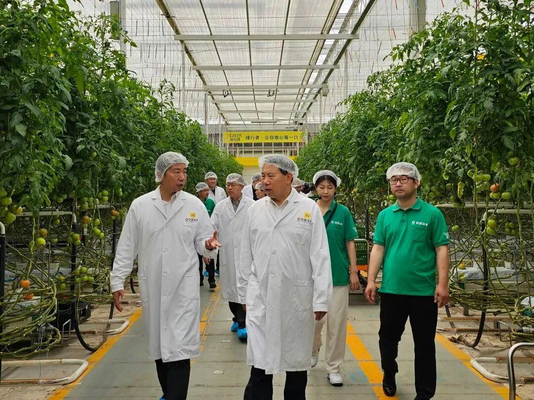 科技賦能農業新篇 劉中會副主任委員赴凱盛浩豐考察調研農業種植技術開發