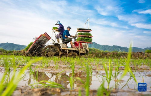 當(dāng)前中國(guó)經(jīng)濟(jì)十問(wèn) 從宏觀大勢(shì)到農(nóng)業(yè)技術(shù)創(chuàng)新的機(jī)遇與挑戰(zhàn)