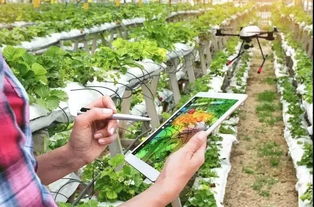 從沙漠到餐桌 牧原股份三大模式創(chuàng)新引領(lǐng)現(xiàn)代農(nóng)業(yè)革命，創(chuàng)始人財(cái)富達(dá)400億